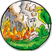 Incendios forestales